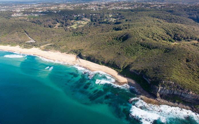 aerial shot of beach with forest