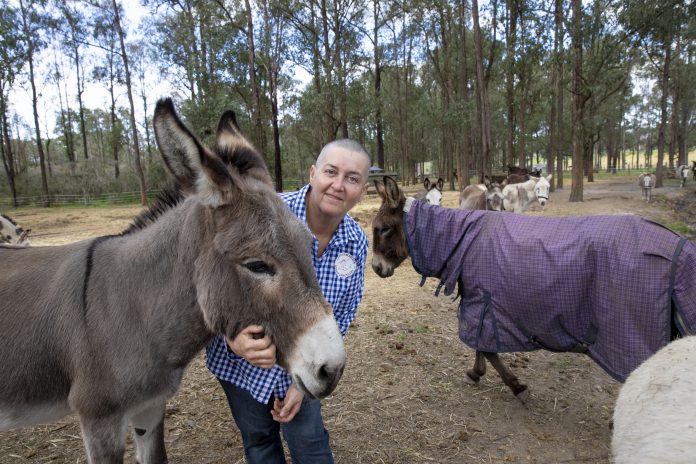 woman with her donkeys