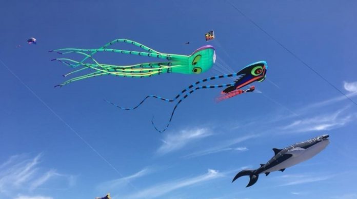 Kites flying at Caves Beach park.