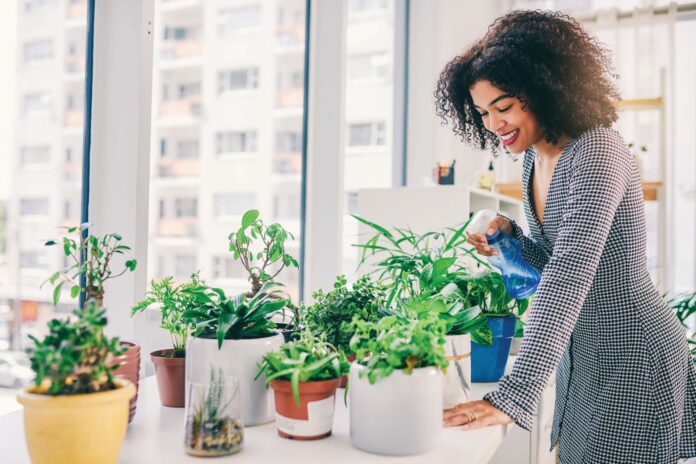woman watering plants indoors