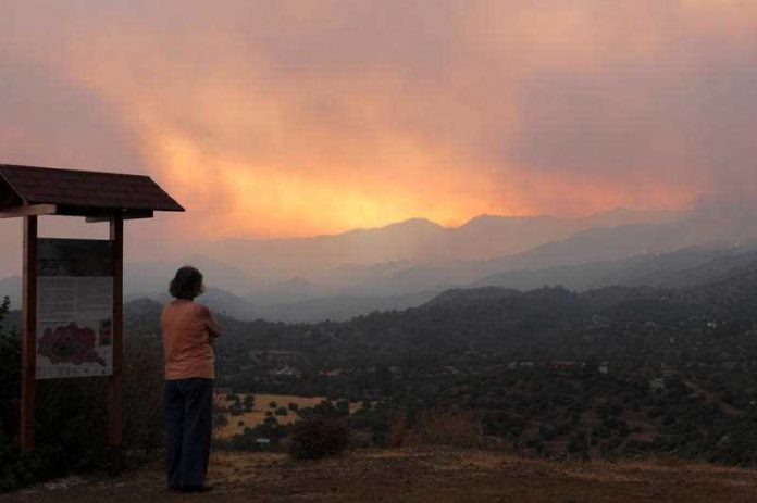 woman in Cyprus looking at bushfire burning in distant hills