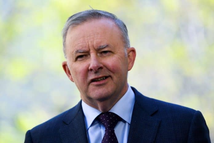 Albanese December election