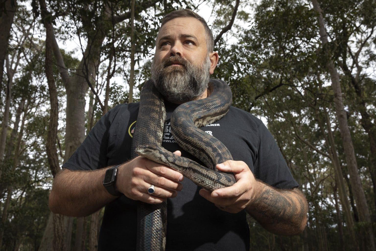 GALLERY Catcher warns it's sssnake season Newcastle Weekly