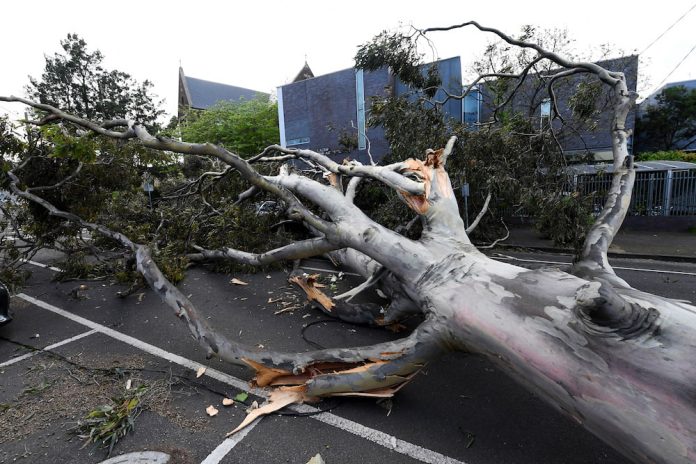 Victoria wild winds