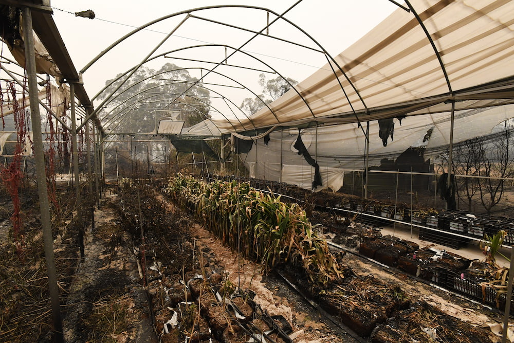 Black Summer bushfires agriculture
