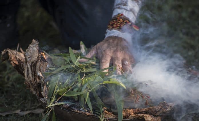Aboriginal elder's hand places eucalyptus leaves on fire.