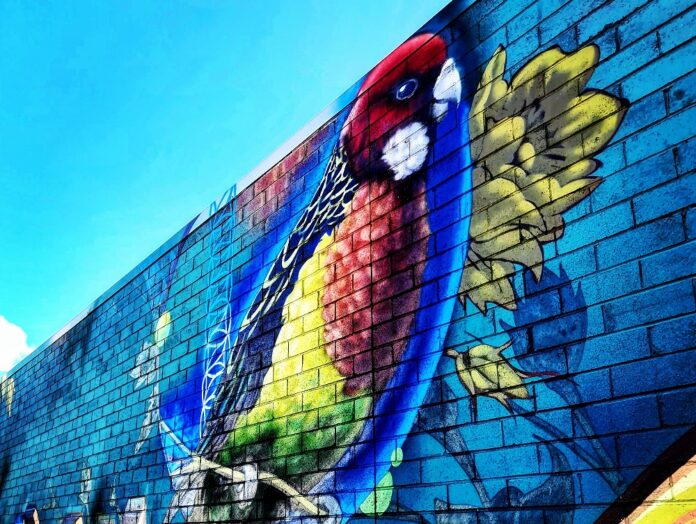 Mayfield Arts Trail on the right track Newcastle Weekly