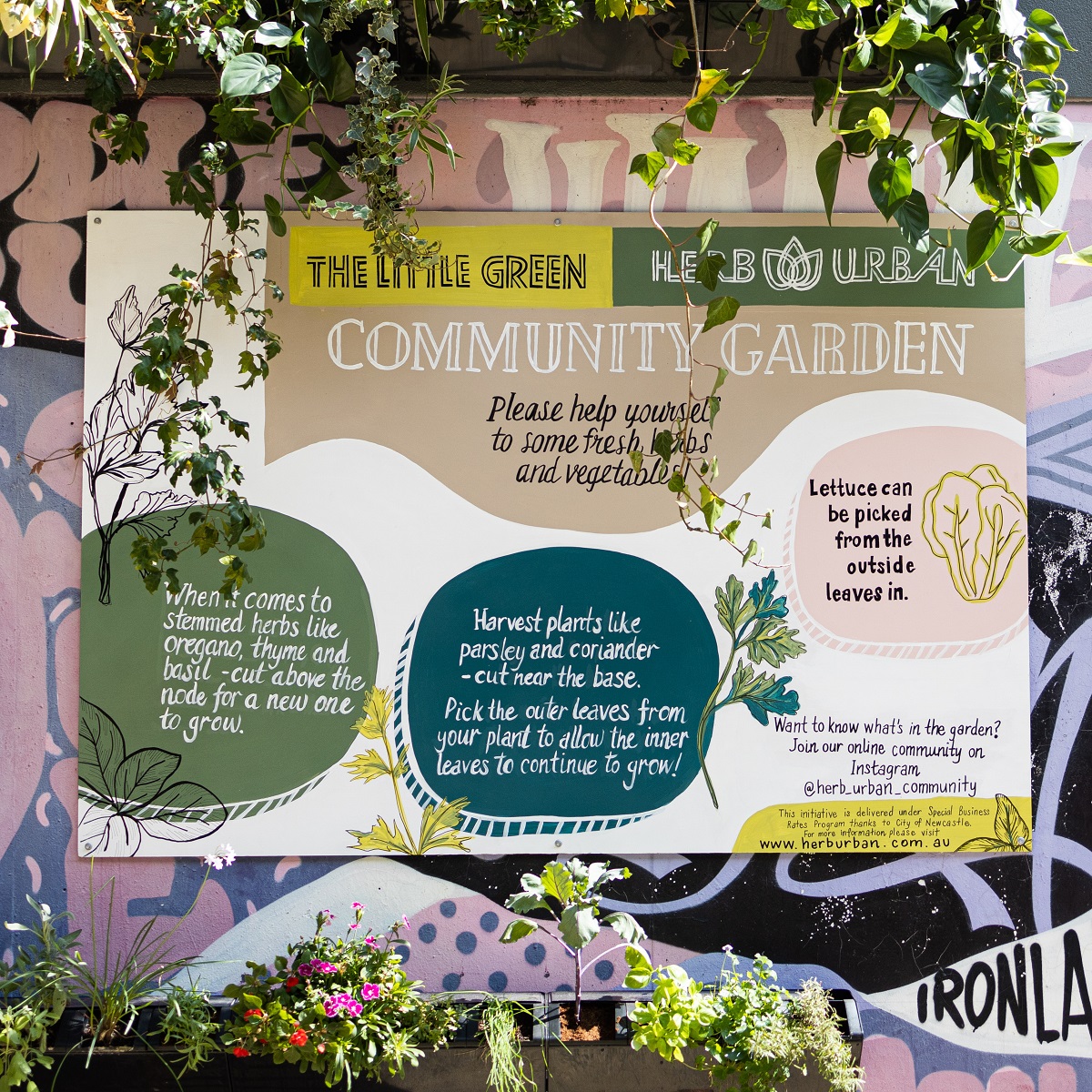 Hunter Street Mall new community garden Newcastle Weekly