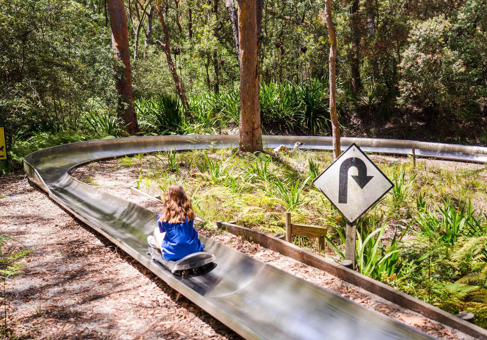 School holidays in Port Stephens Newcastle Weekly