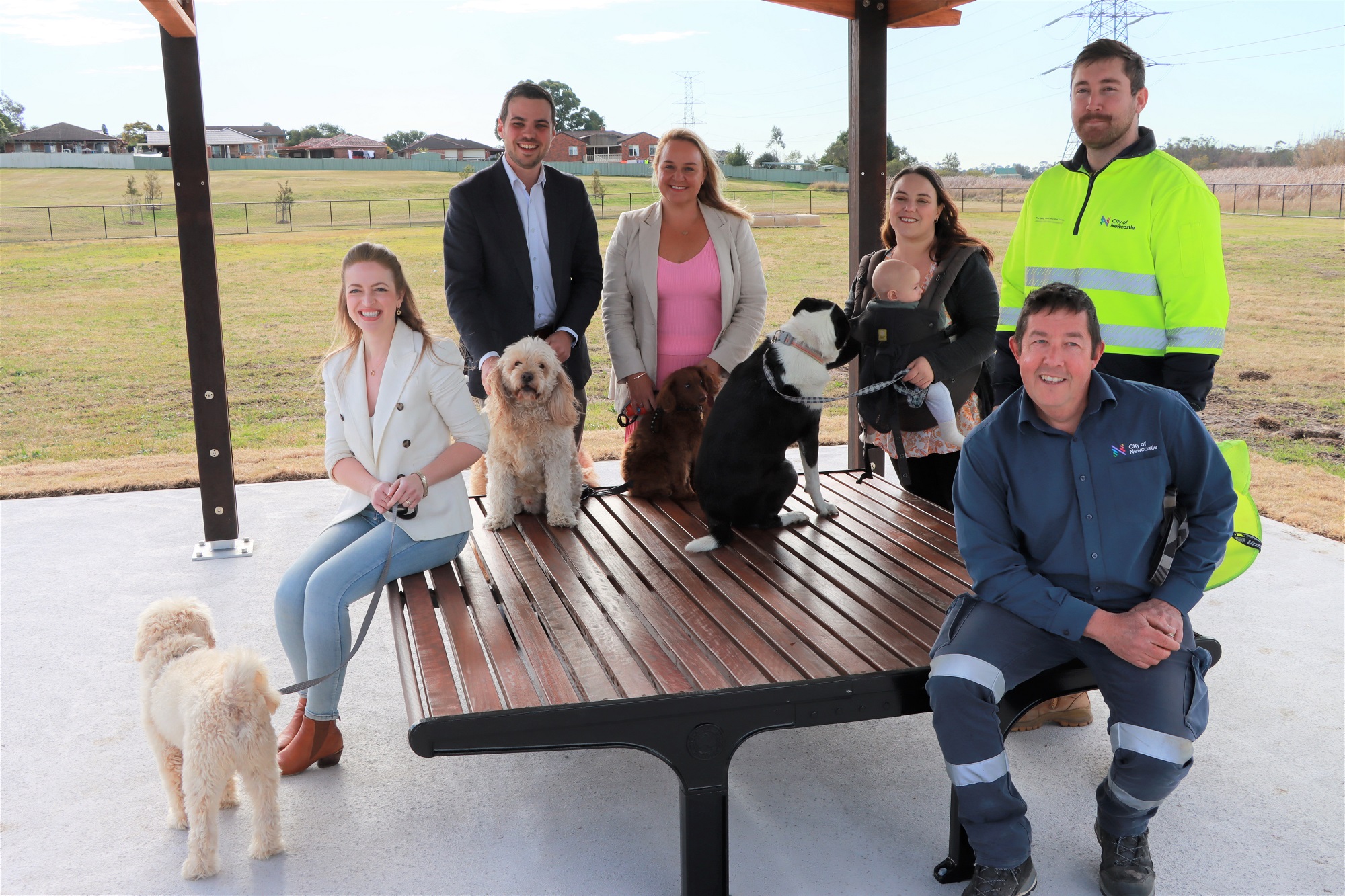 Newcastle dog park Newcastle Weekly