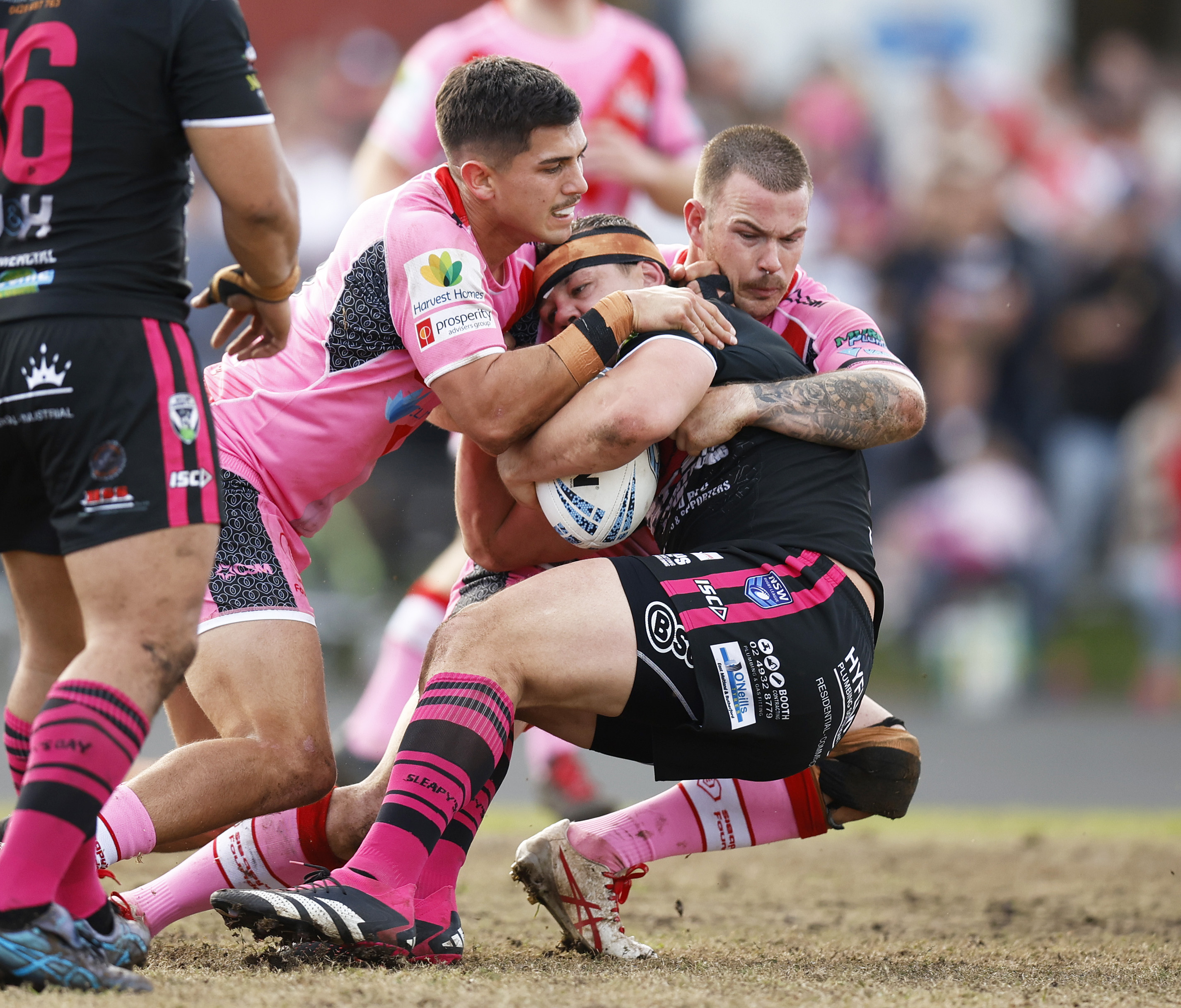 Newcastle Rugby League Sam Anderson | Newcastle Weekly