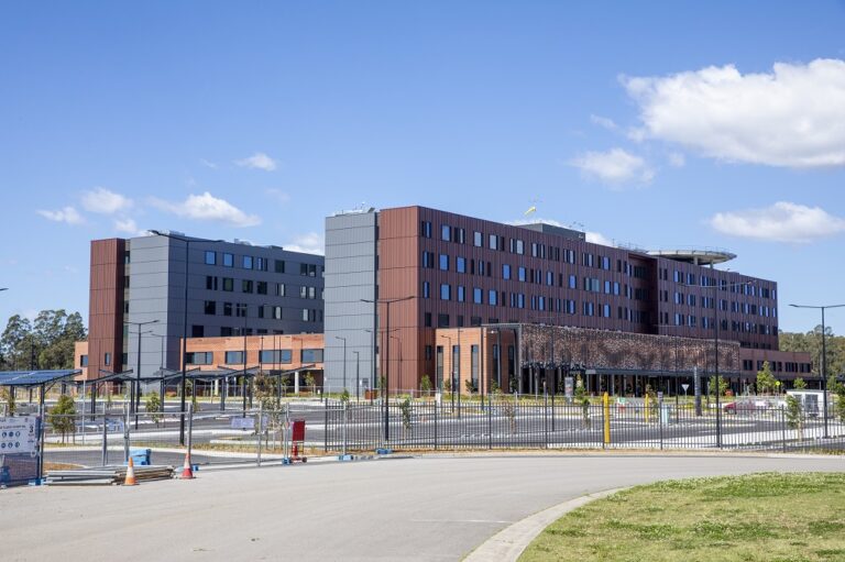 Maitland Hospital introduces new home birthing pilot