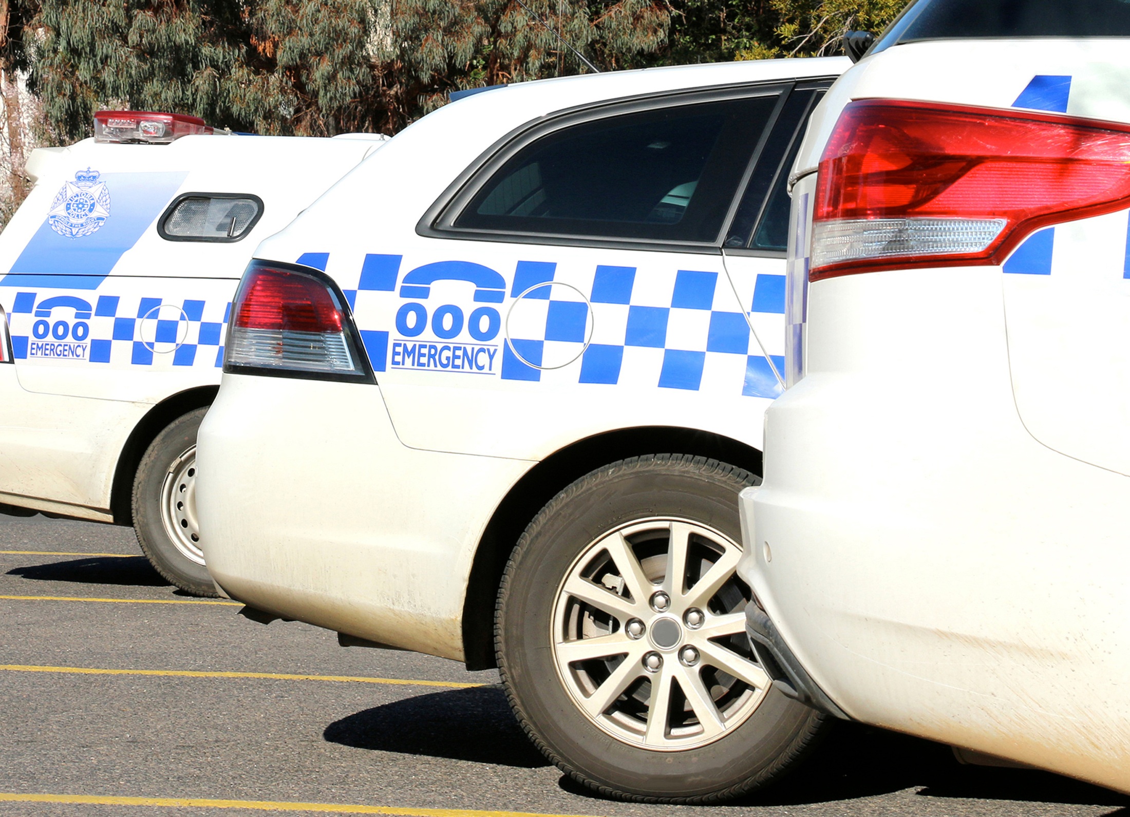 Child abuse material seized from Cameron Park home