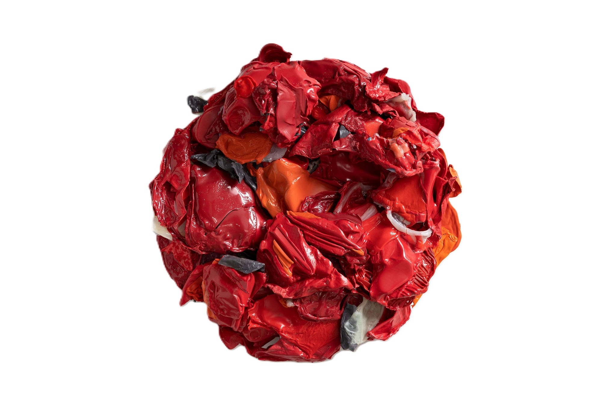 New PACC exhibition to captivate everyone