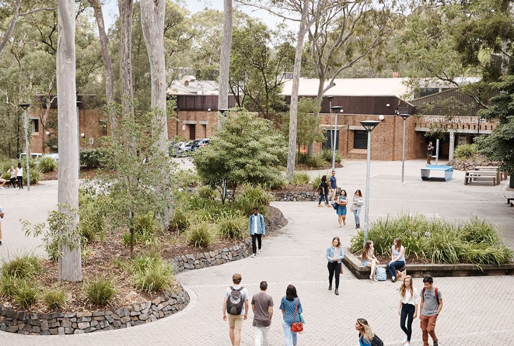 Zelinksy leads call to back national university reform