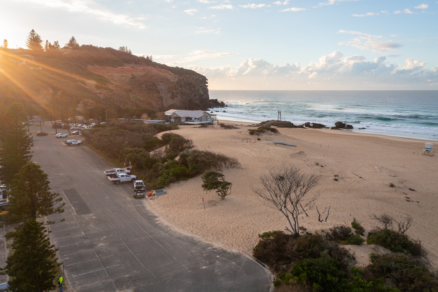 Work starts on Redhead Beach sand dune revitalisation